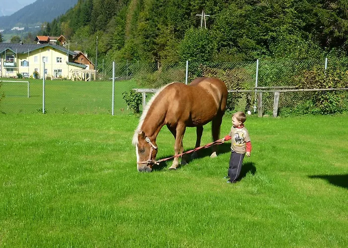 Vronis Landhaus * Hüttau